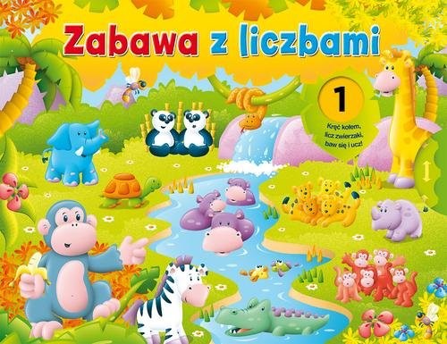 okładka Zabawa z liczbami książka | James Tom