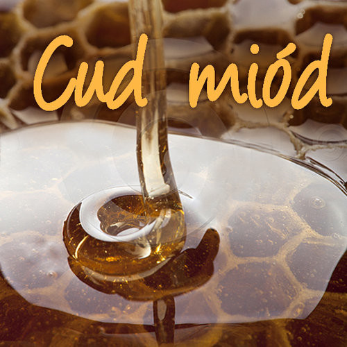 okładka Cud miód książka | Justyna Mrowiec