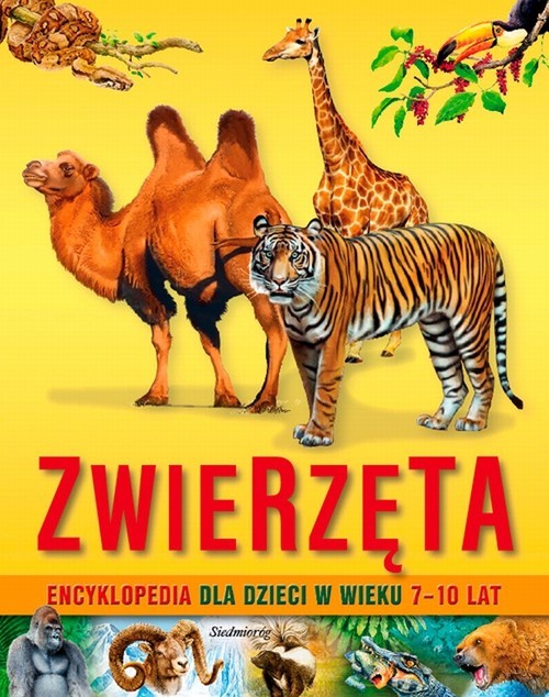 okładka Zwierzęta Encyklopedia dla dzieci w wieku 7-10 lat książka