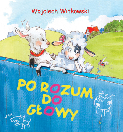 okładka Po rozum do głowy książka | Wojciech Witkowski