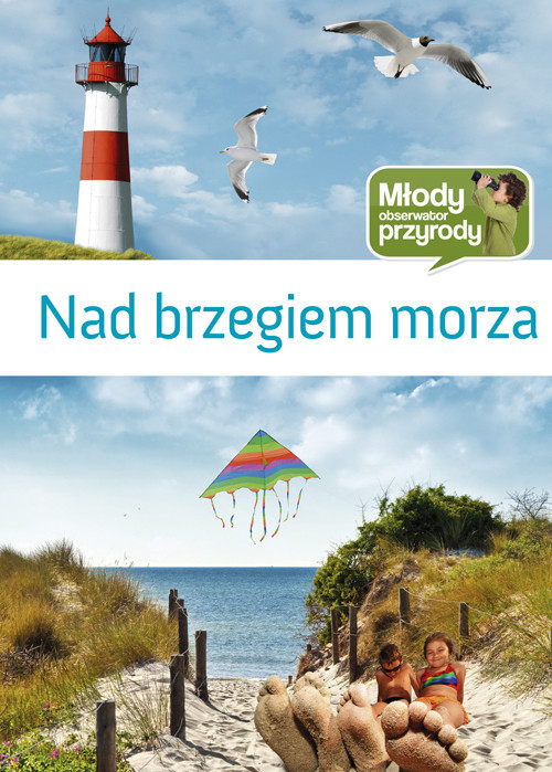 okładka Nad brzegiem morza książka