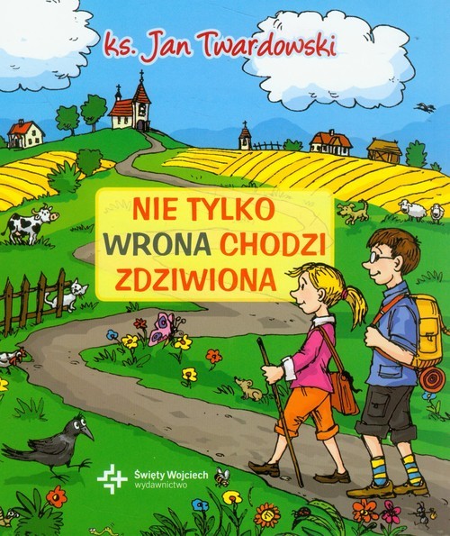 okładka Nie tylko wrona chodzi zdziwiona książka | Ks. Jan Twardowski