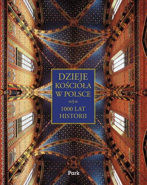 okładka Dzieje Kościoła w Polsce książka