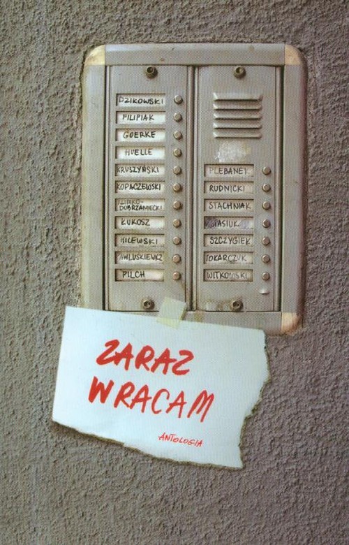 okładka Zaraz wracam Antologia książka