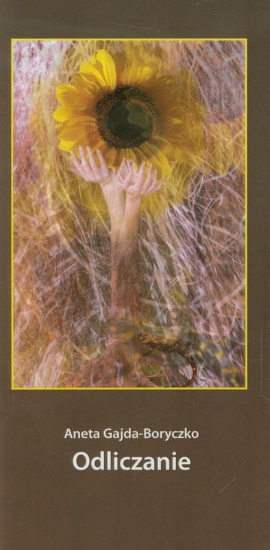 okładka Odliczanie książka | Aneta Gajda-Boryczko