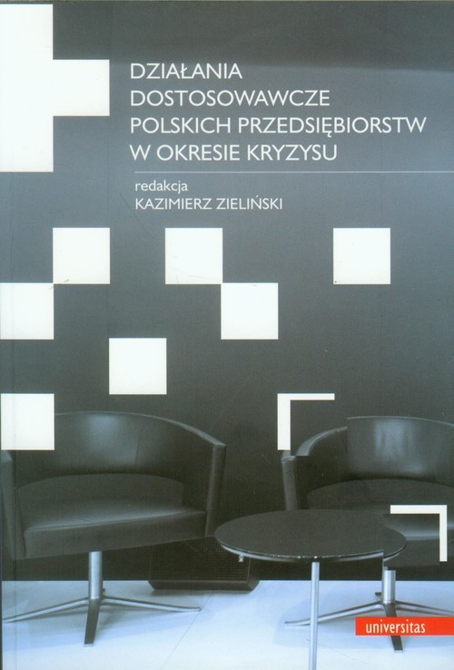 okładka Działania dostosowawcze polskich przedsiębiorstw w okresie kryzysu książka | Praca Zbiorowa