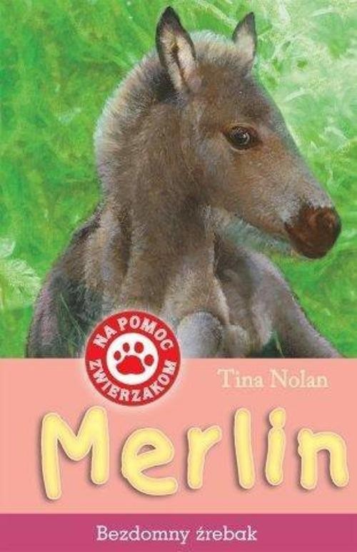 okładka Merlin Bezdomny źrebak książka | Tina Nolan