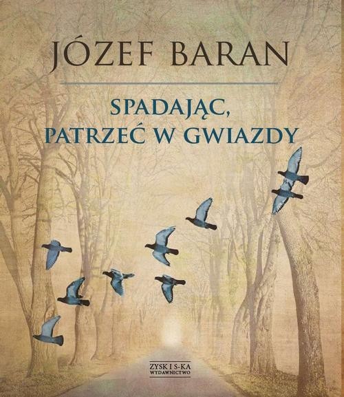 okładka Spadając patrzeć w gwiazdy książka | Józef Baran