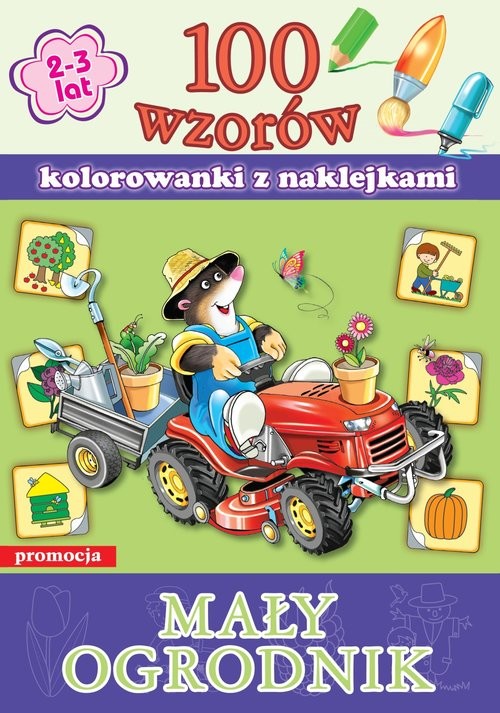 okładka 100 wzorów - Mały ogrodnik książka