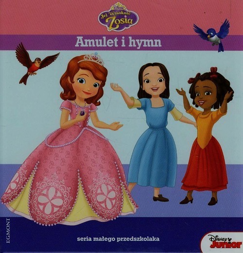 okładka Amulet i hymn książka | Catherine Hapka