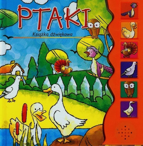 okładka Ptaki Książka dźwiękowa książka | Praca Zbiorowa