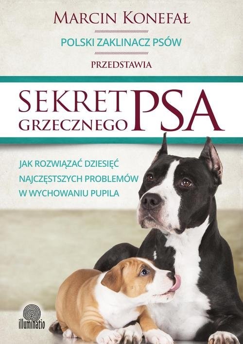 okładka Sekret grzecznego psa Jak rozwiązać dziesięć najczęstszych problemów w wychowaniu pupila książka | Marcin Konefał