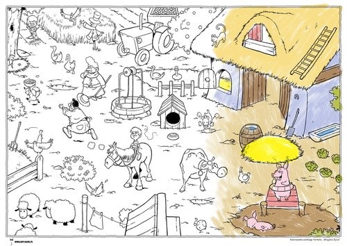 okładka Wiejskie życie Kolorowanka Kolorowanka wielkiego formatu książka