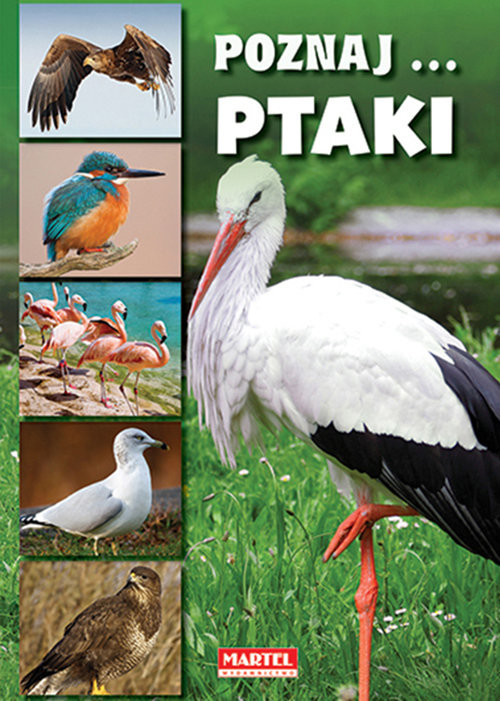 okładka Poznaj ptaki książka