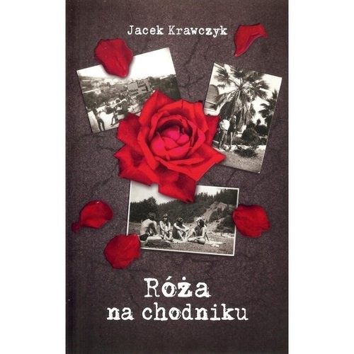 okładka Róża na chodniku książka | Krawczyk Jacek