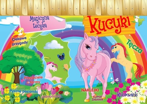 okładka Magiczne teczki Kucyki książka