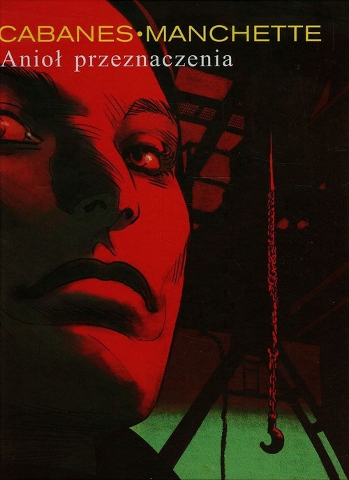 okładka Anioł przeznaczenia książka | Max Cabanas, Doug Headline