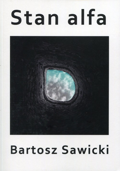 okładka Stan alfa książka | Bartosz Sawicki
