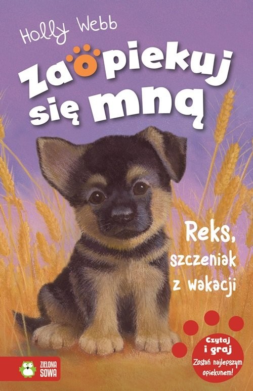 okładka Zaopiekuj się mną Reks szczeniak z wakacji książka | Holly Webb