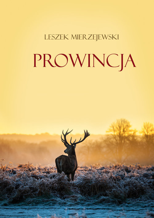 okładka Prowincja książka | Leszek Mierzejewski