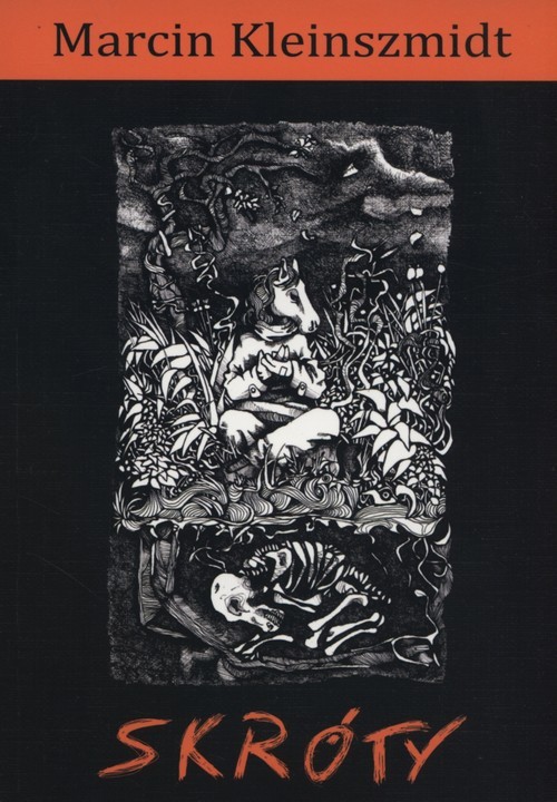 okładka Skróty książka | Kleinszmidt Marcin