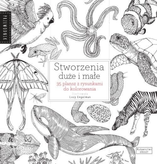 okładka Stworzenia duże i małe 35 plansz z rysunkami do kolorowania książka | Valerie Davies
