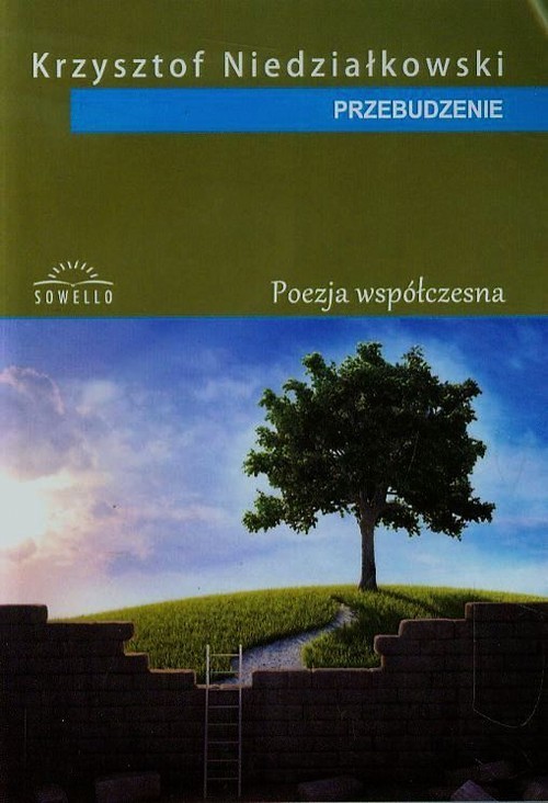 okładka Przebudzenie książka | Krzysztof Niedziałkowski