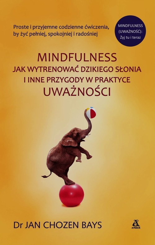 okładka Mindfulness Jak wytrenować dzikiego słonia i inne przygody w praktyce uważności książka | Jan Chozen Bays