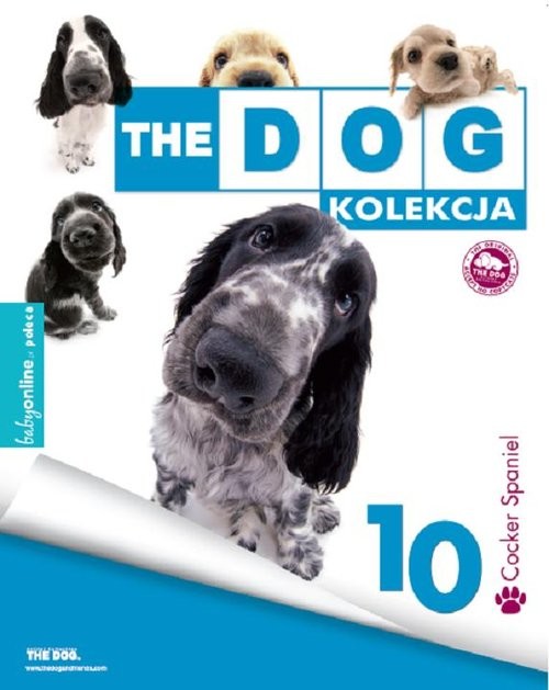 okładka Cocker Spaniel książka