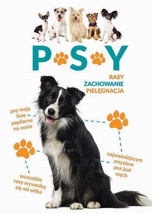 okładka Psy książka | Anna Biziorek