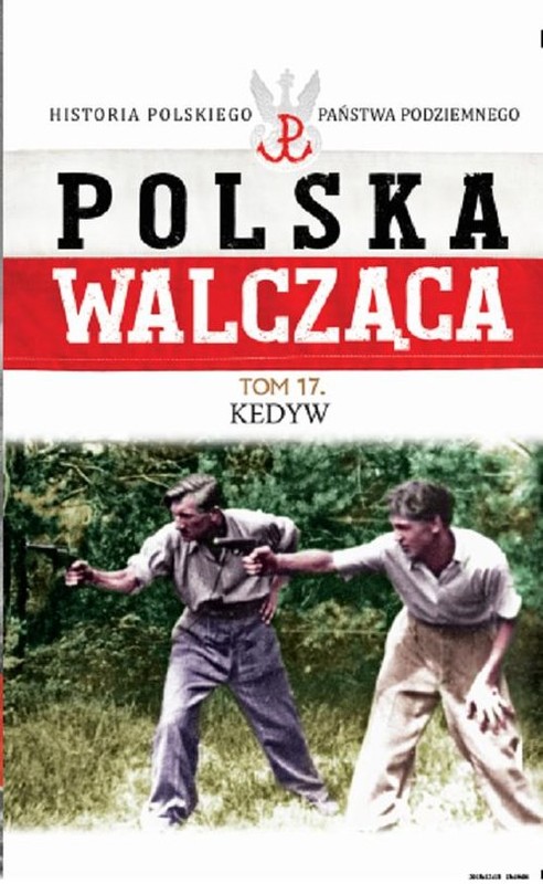 okładka Polska Walcząca Tom 17 Kedyw książka