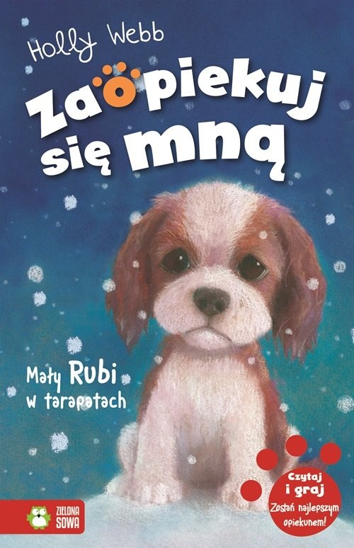 okładka Mały Rubi w tarapatach książka | Holly Webb