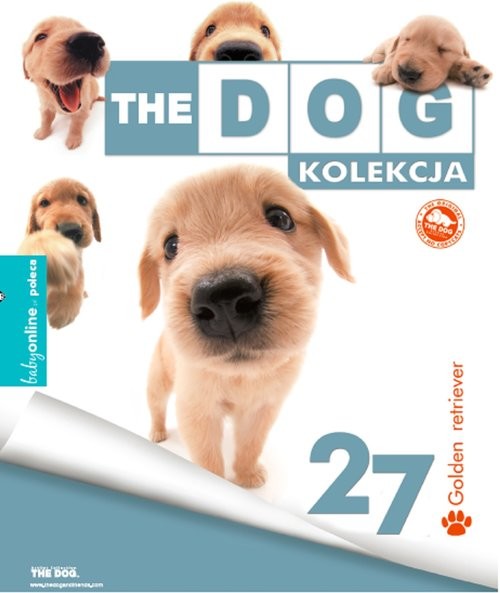 okładka Golden Retriever książka