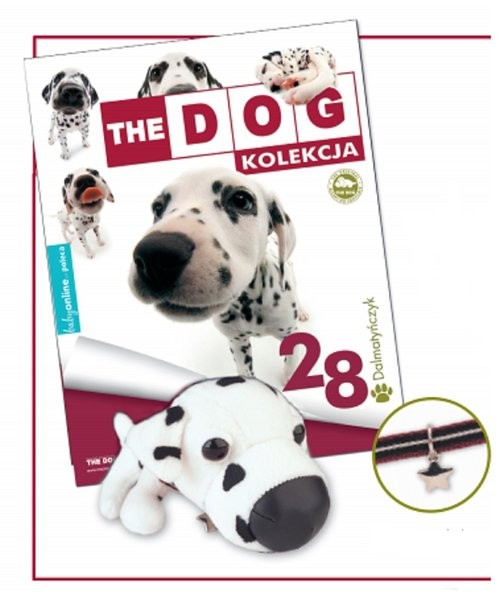 okładka Dalmatyńczyk książka