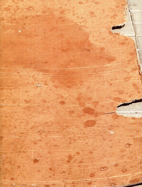 okładka Honky książka | Skiba Piotr