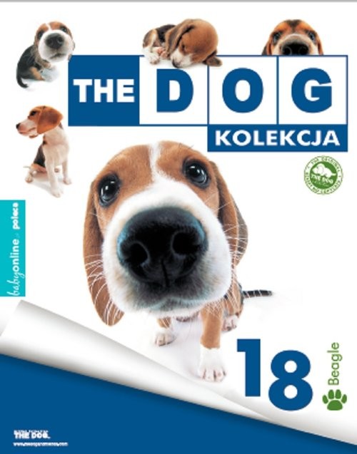 okładka The dog Beagle książka