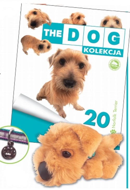 okładka The dog Norfolk Terier książka