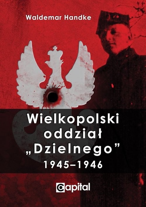 okładka Wielkopolski oddział Dzielnego 1945-1946 książka | Waldemar Handke