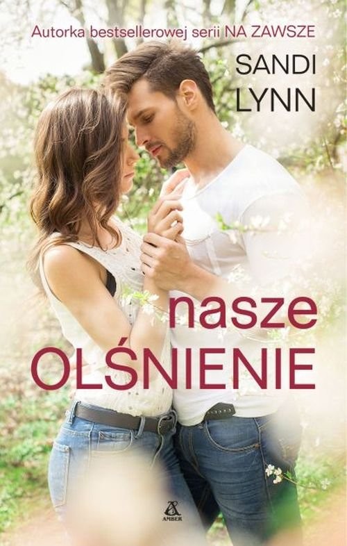 okładka Nasze olśnienie książka | Sandi Lynn