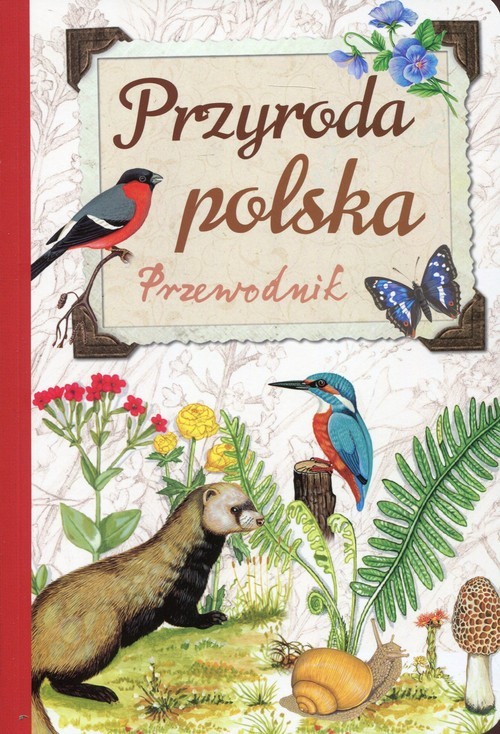 okładka Przyroda polska Przewodnik książka | Robert Jacek Dzwonkowski
