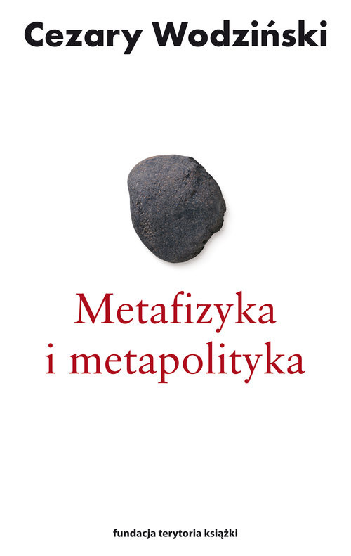 okładka Metafizyka i metapolityka Czarne zeszyty Heideggera książka | Cezary Wodziński
