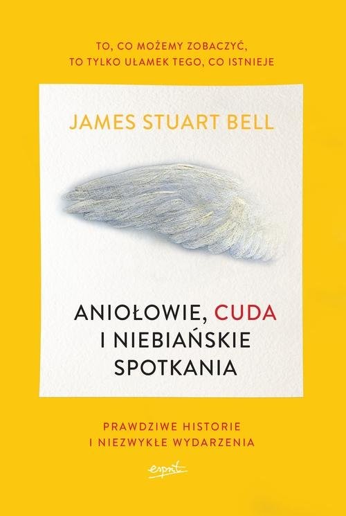 okładka Aniołowie, cuda i niebiańskie spotkania Prawdziwe historie i niezwykłe wydarzenia książka | James Stuart Bell