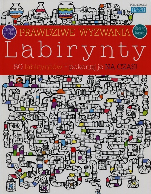 okładka Prawdziwe wyzwania Labirynty 80 labiryntów pokonaj je na czas książka | Maria Neradova, Andrea Ebert