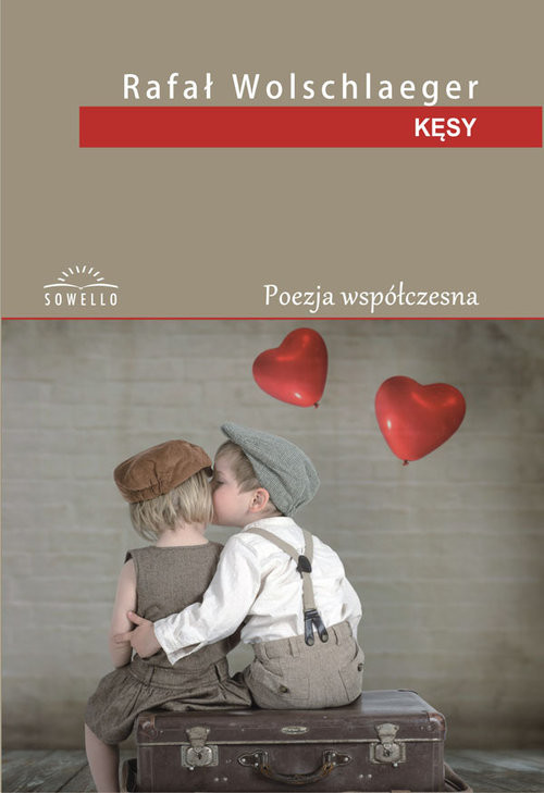 okładka Kęsy książka | Rafał Wolschlaeger