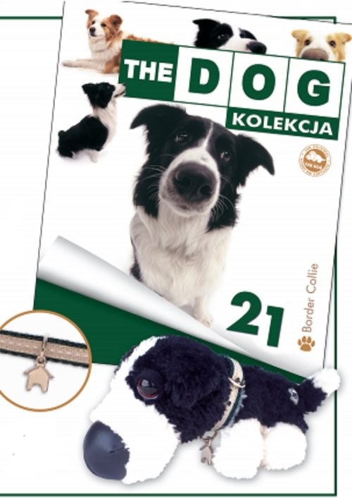 okładka Dog Kolekcja 21 Border Collie książka