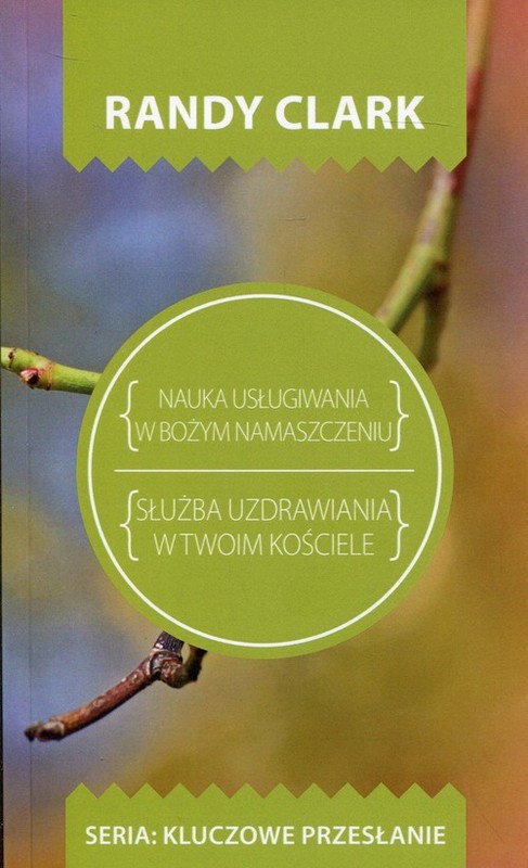 okładka Nauka usługiwania w Bożym namaszczeniu Służba uzdrawiania w Twoim kościele książka | Randy Clark