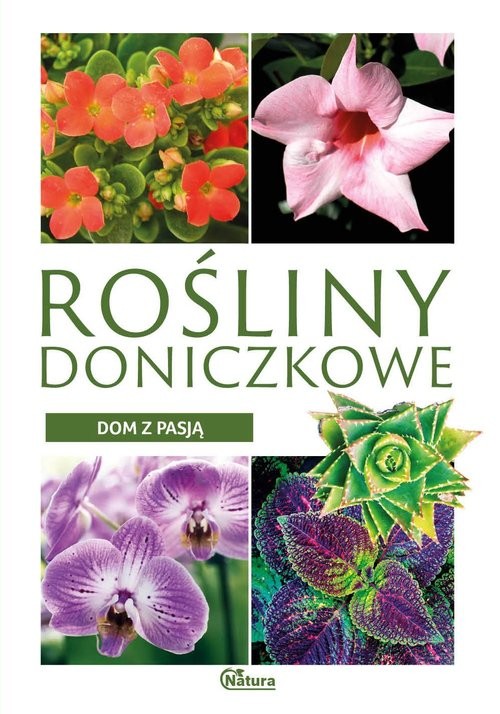 okładka Dom z pasją. Rośliny doniczkowe książka | Krzysztof Ulanowski