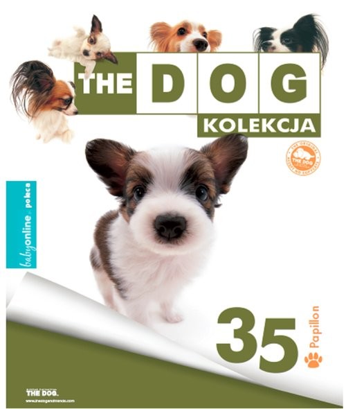 okładka Papillon książka