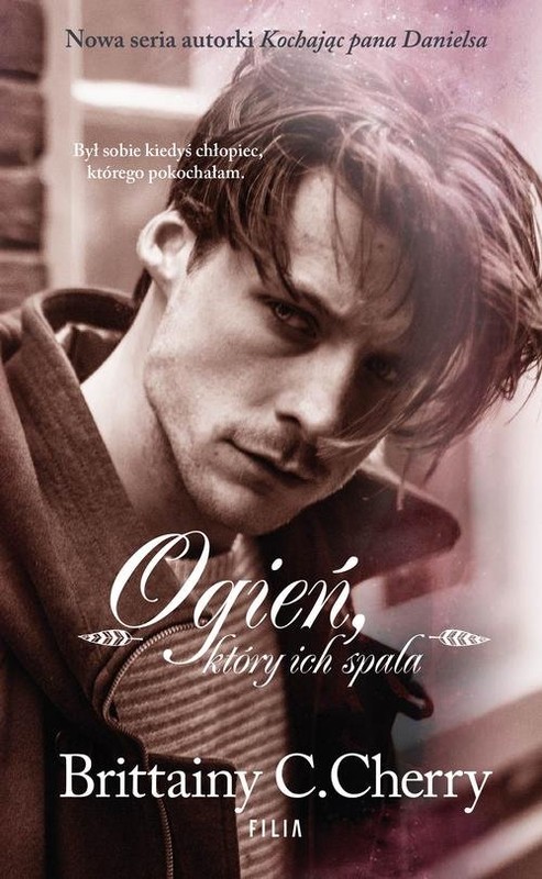 okładka Żywioły Tom 2 Ogień który ich spala książka | Brittainy C. Cherry