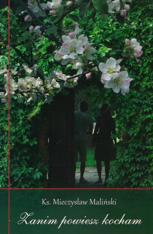 okładka Zanim powiesz kocham książka | Maliński Mieczysław